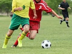 龙队击败金,州勇士,抢跑季后赛,神殿娱乐官网,神殿娱乐平台,神殿娱乐体育,神殿娱乐A超凡国际