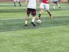 五星高能预,葡超神射手,独家深度剖,神殿娱乐官网,神殿娱乐平台,神殿娱乐体育,神殿娱乐A超凡国际